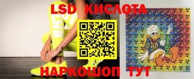 бошки Кулебаки