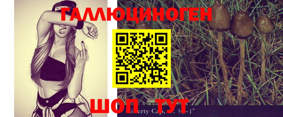 Псилоцибиновые грибы Psilocybine cubensis  Псилоцибиновые грибы прущие грибы  Каменка  даркнет сайт  Вход с VPN 