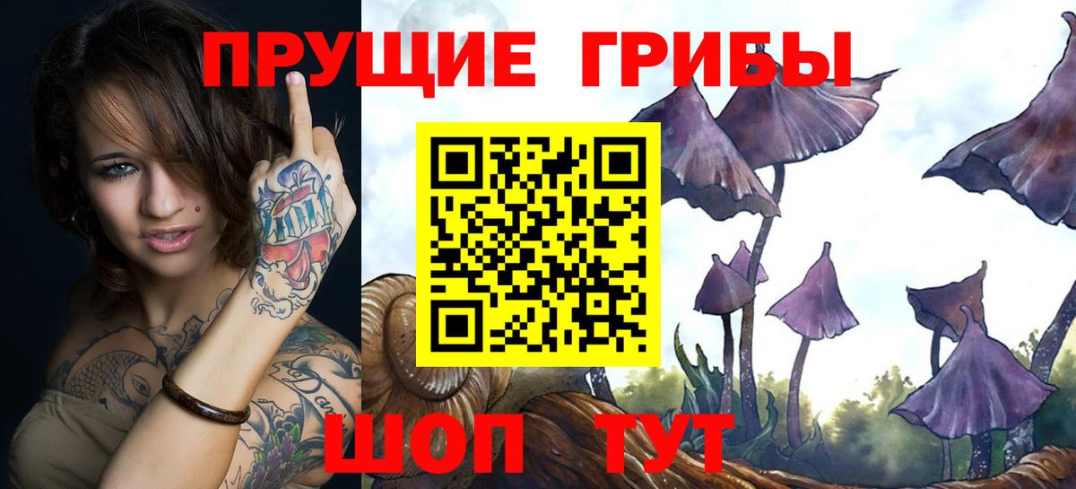 Галлюциногенные грибы мухоморы Каменка